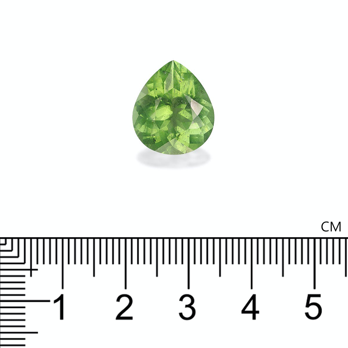 Picture of Green Paraiba Tourmaline 8.38ct - 15x13mm (PA0143)