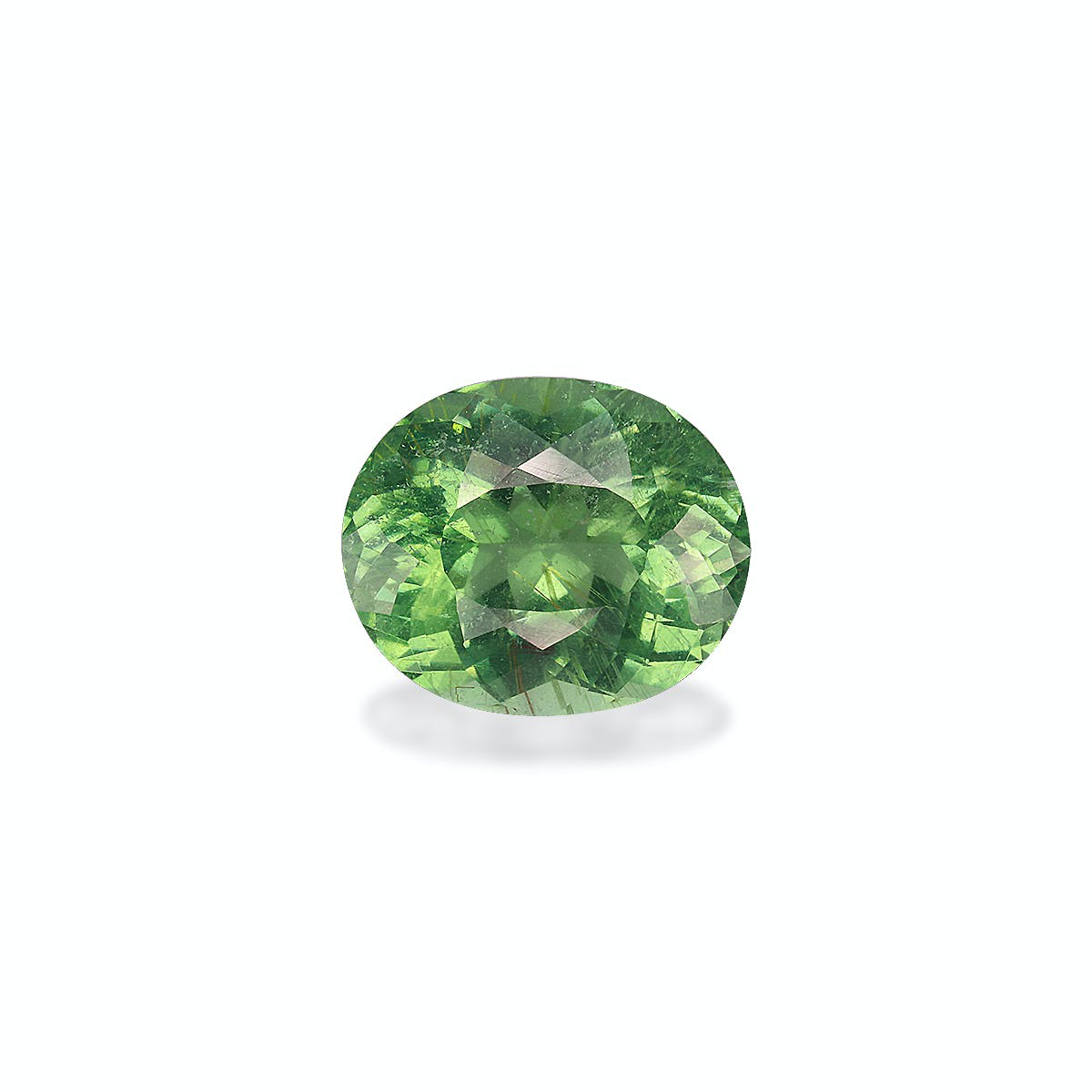 Picture of Green Paraiba Tourmaline 4.92ct - 12x10mm (PA0014)