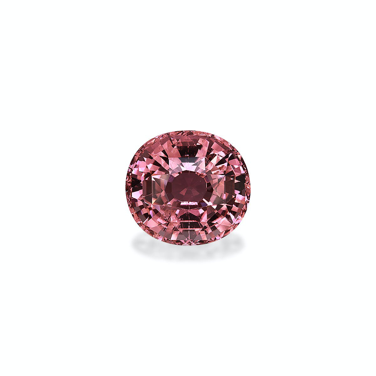 Picture of Flamingo Pink Tourmaline 26.56ct - 19x17mm (PT0193)