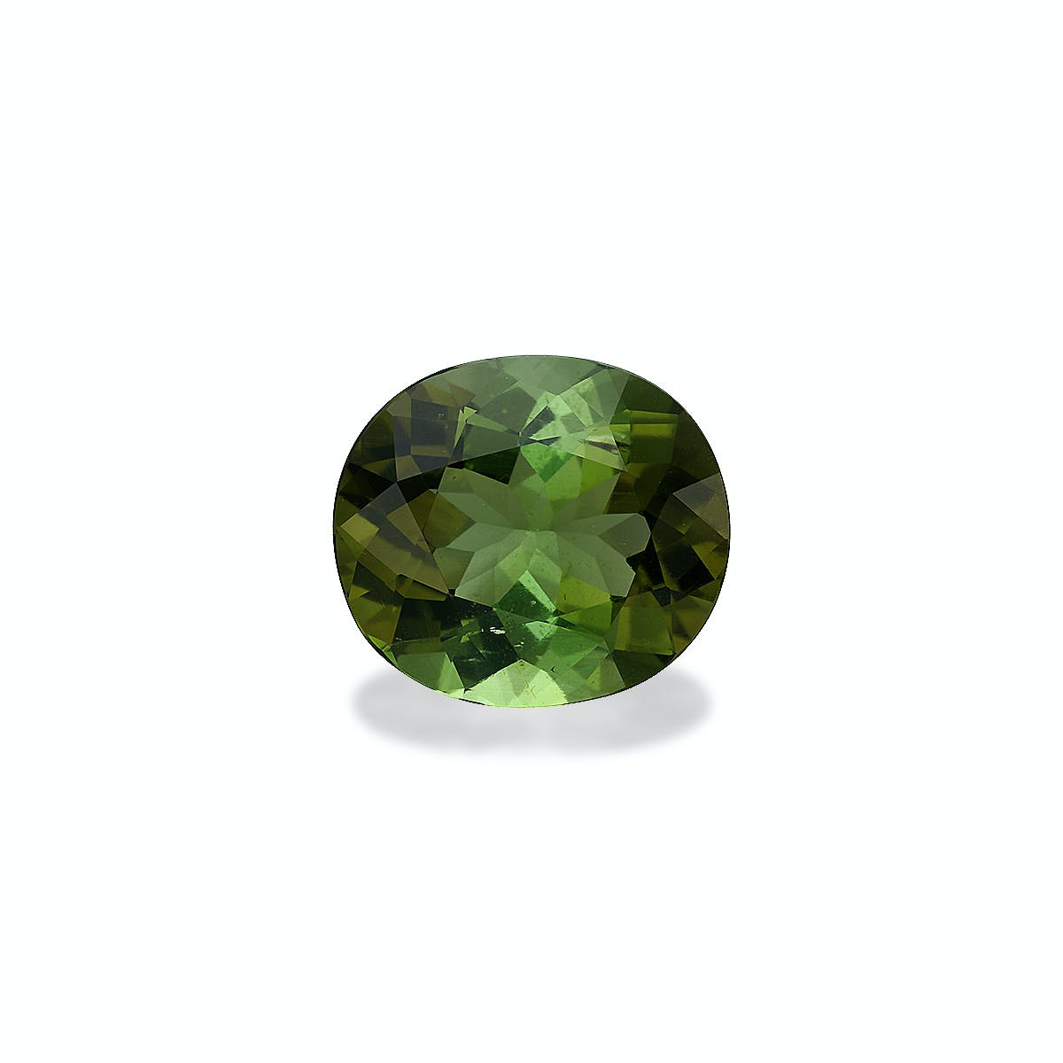Picture of Moss Green Tourmaline 9.38ct - 15x13mm (TG0125)