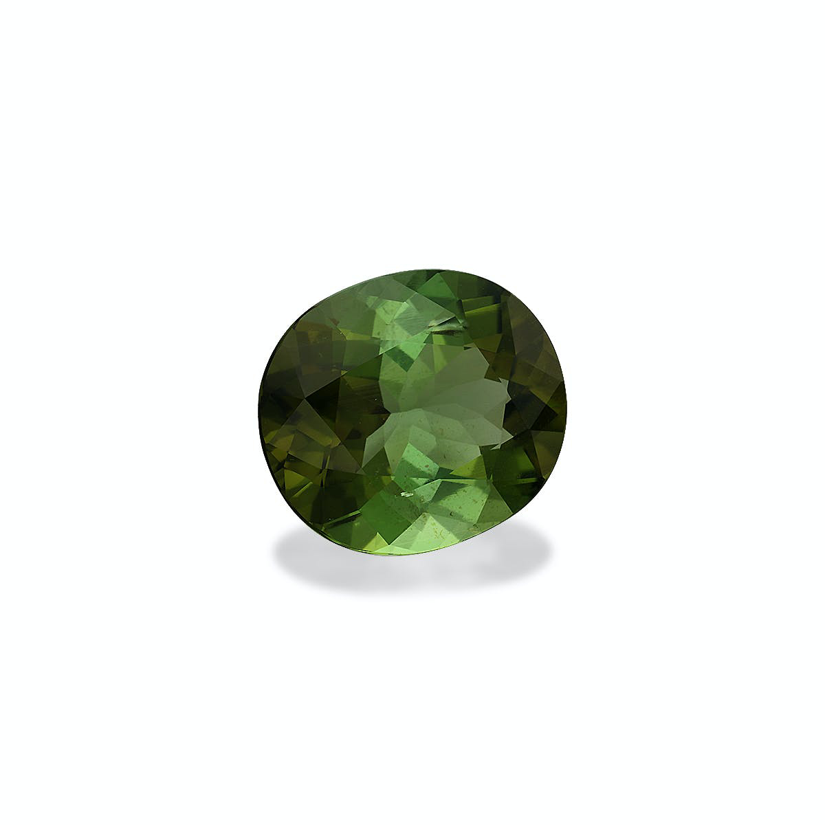 Picture of Moss Green Tourmaline 9.38ct - 15x13mm (TG0125)