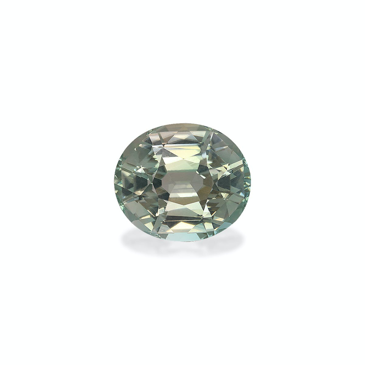 Picture of Mist Green Tourmaline 9.16ct - 14x12mm (TG0264)
