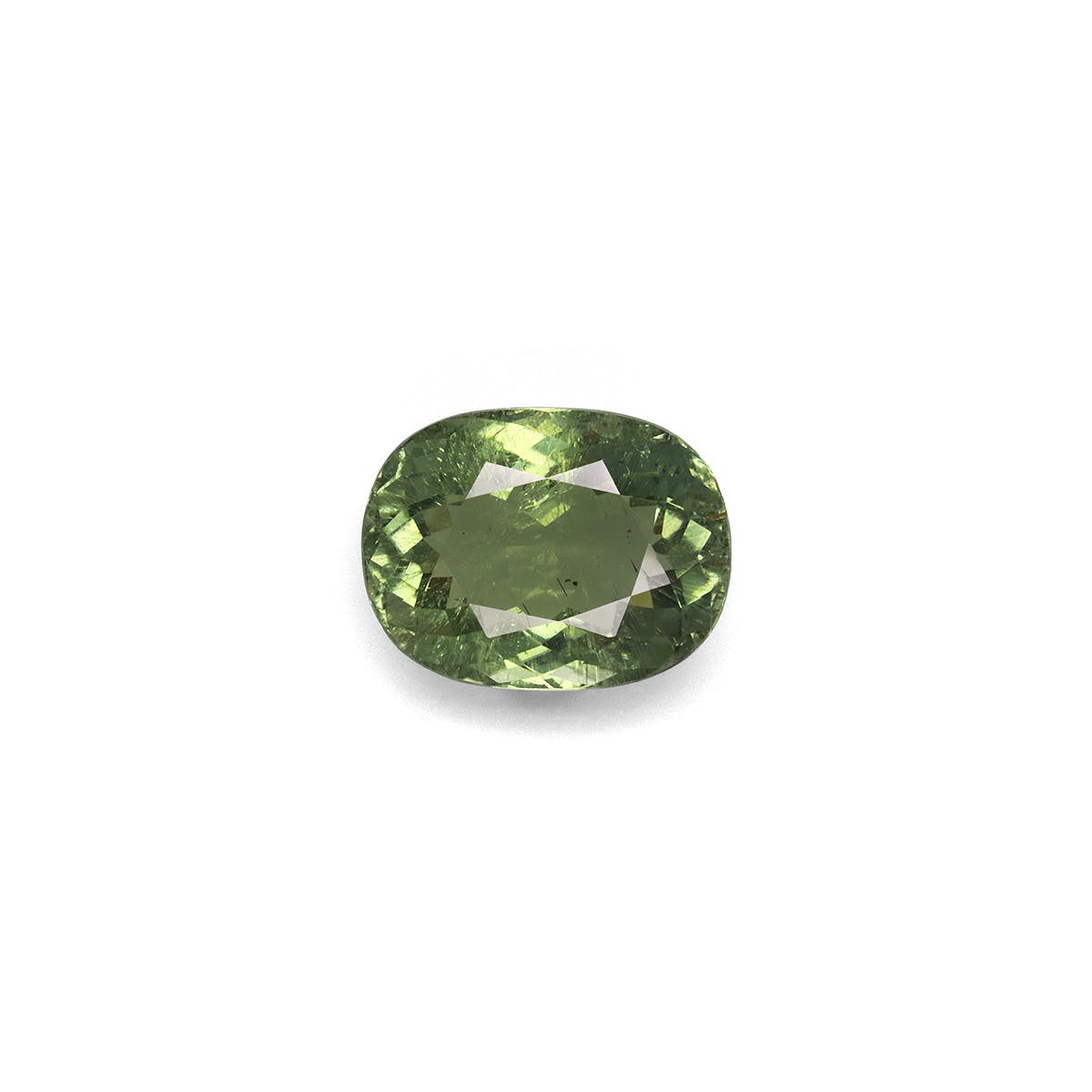 Picture of Olive Green Tourmaline 16.38ct (TG0266)