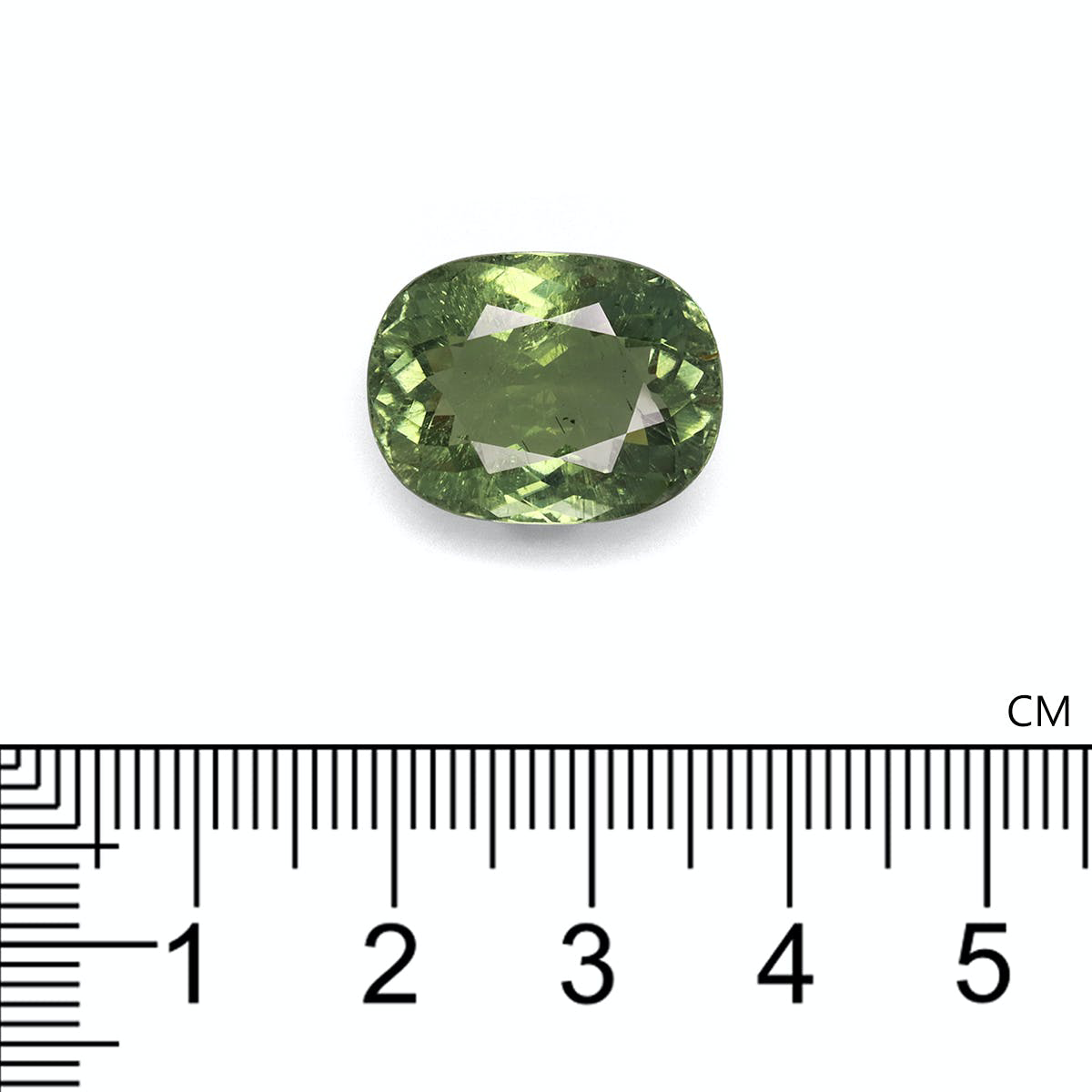 Picture of Olive Green Tourmaline 16.38ct (TG0266)