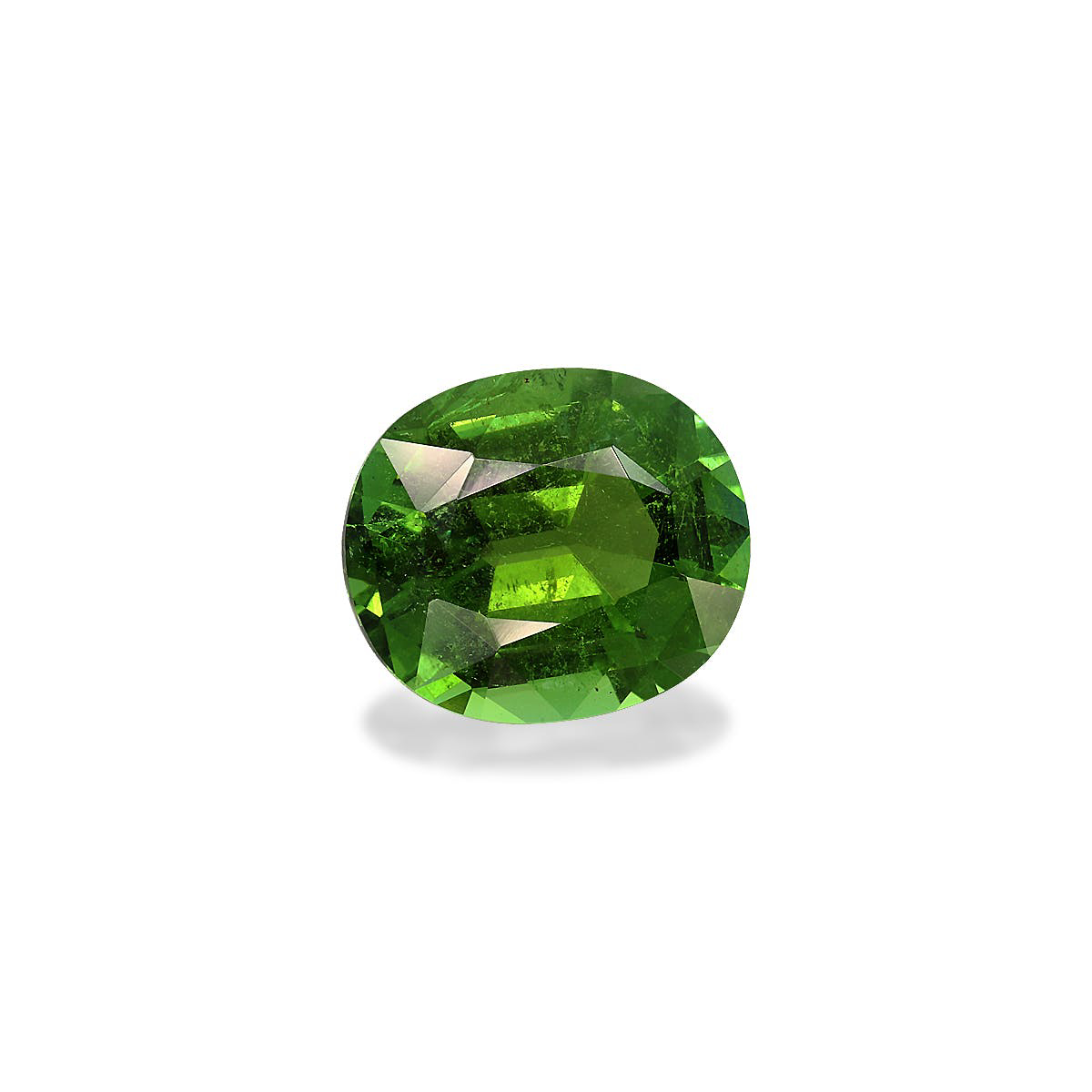 Picture of Vivid Green Tourmaline 8.23ct - 14x12mm (TG0289)