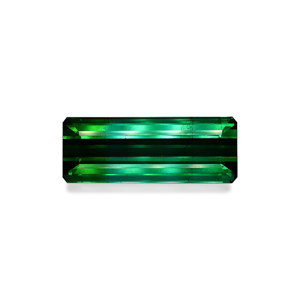 Vivid Green Tourmaline 72.67ct (TG0292)