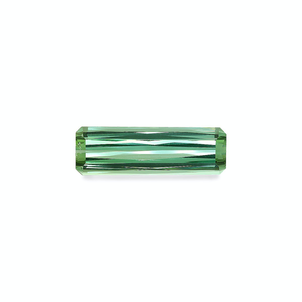 Cotton Green Tourmaline 24.43ct (TG0296)