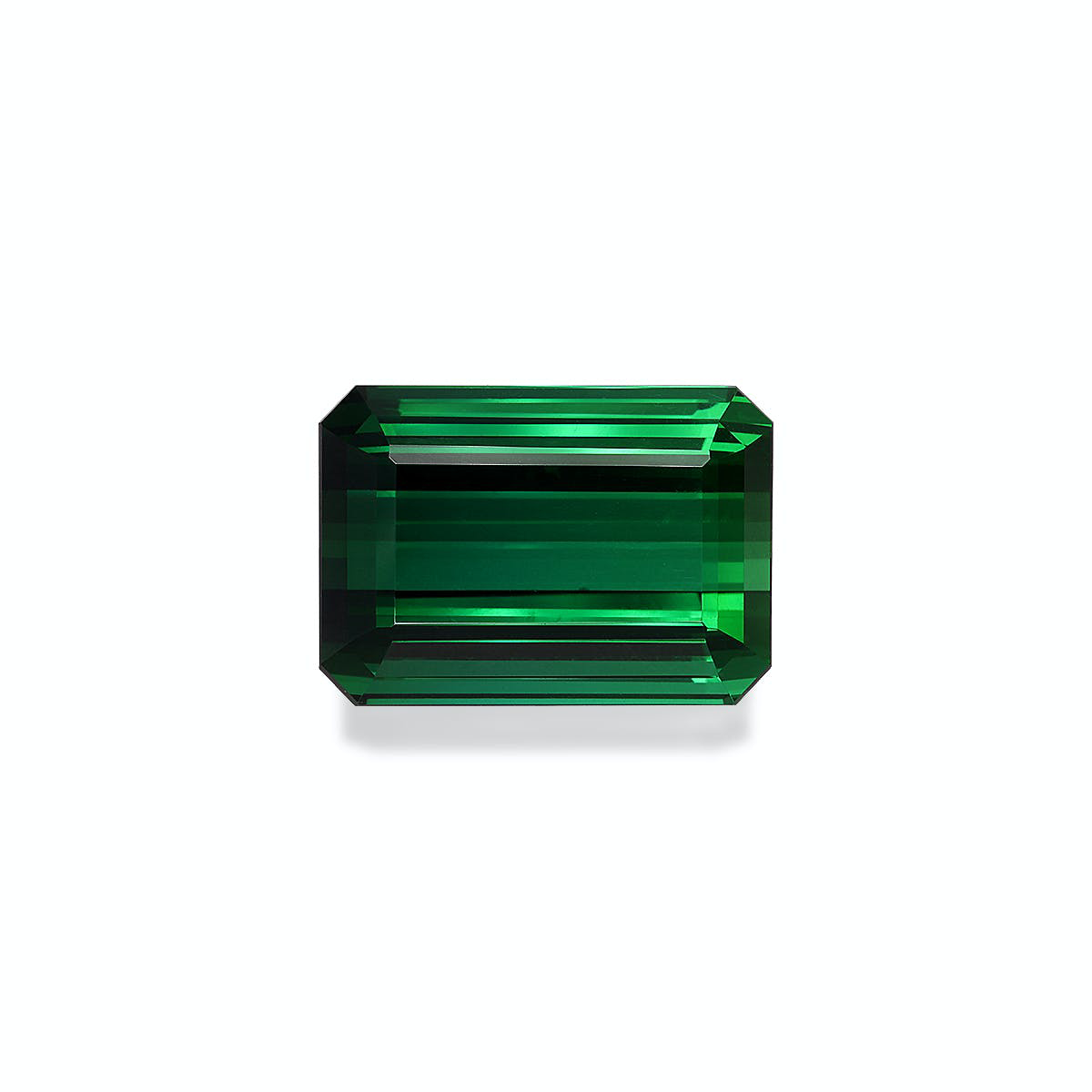 Picture of Vivid Green Tourmaline 59.71ct (TG0306)