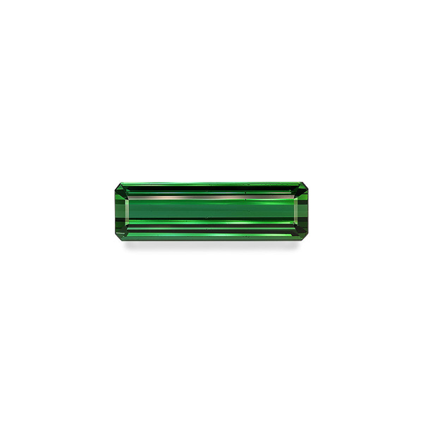 Vivid Green Tourmaline 26.67ct (TG0363)