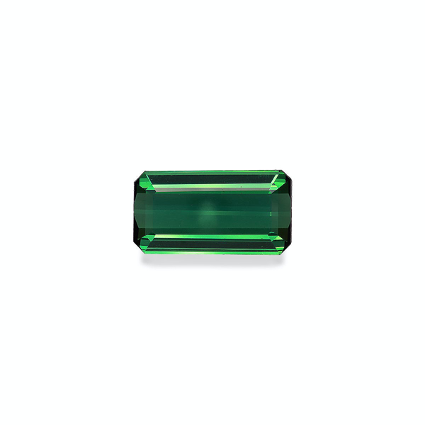 Green Tourmaline 8.79ct (TG0379)