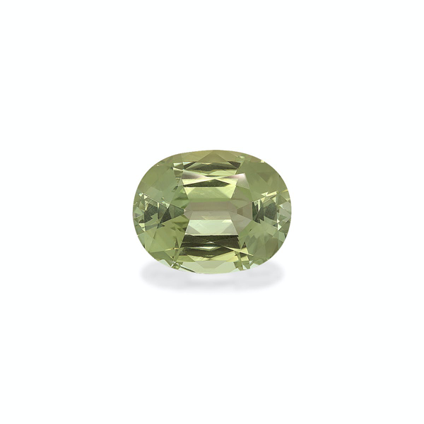 Pale Green Tourmaline 22.73ct (TG0393)