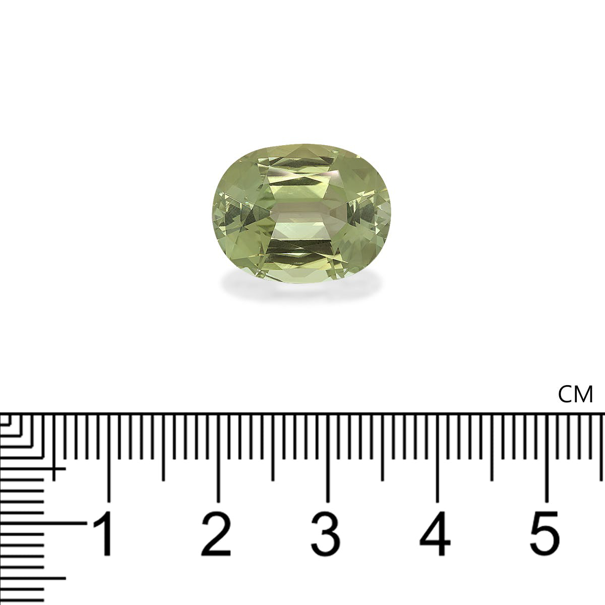 Picture of Pale Green Tourmaline 22.73ct (TG0393)