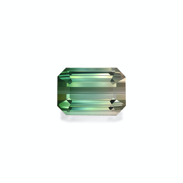 Picture for category bi-colour-tourmaline
