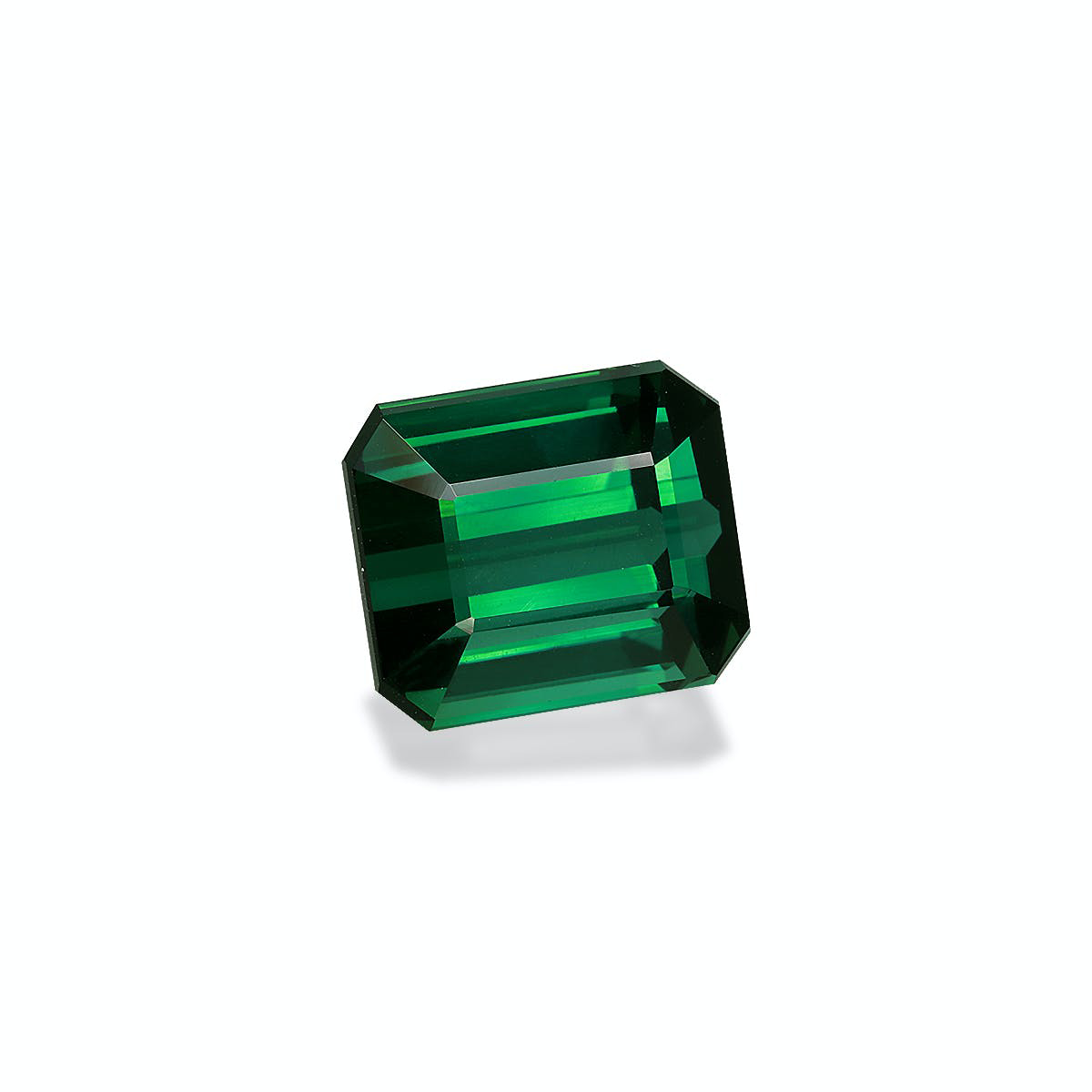 Picture of Basil Green Tourmaline 16.66ct - 14x12mm (TG0417)