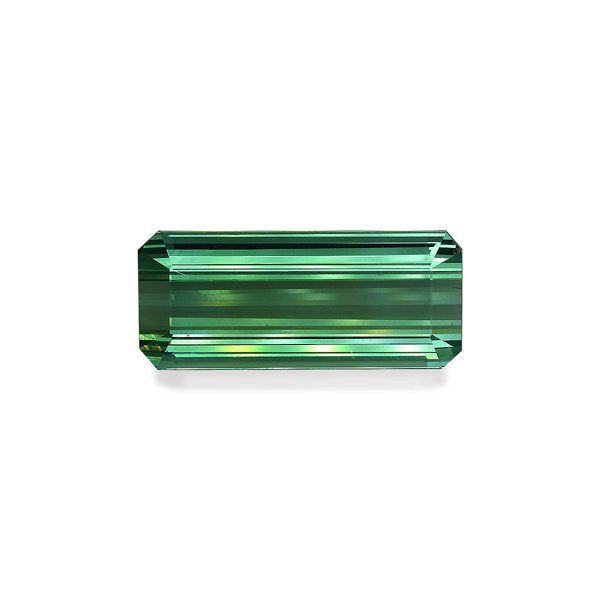 Cotton Green Tourmaline 42.24ct (TG0435)