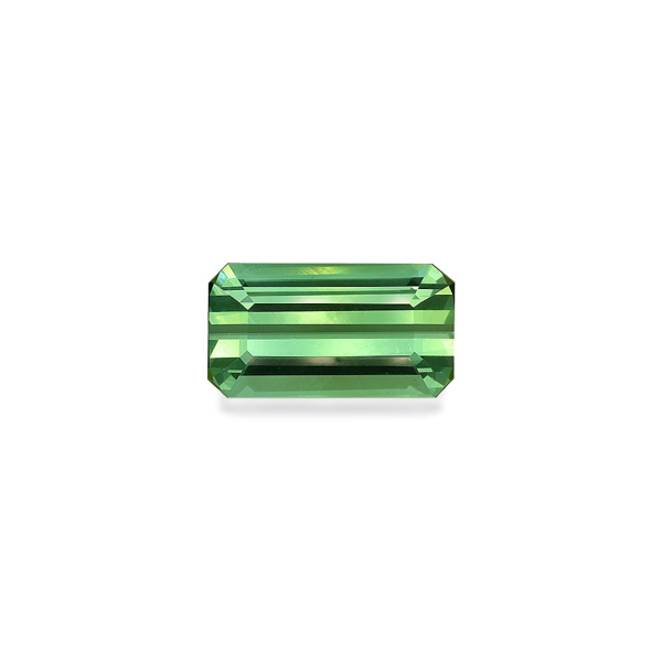 Green Tourmaline 16.83ct (TG0436)