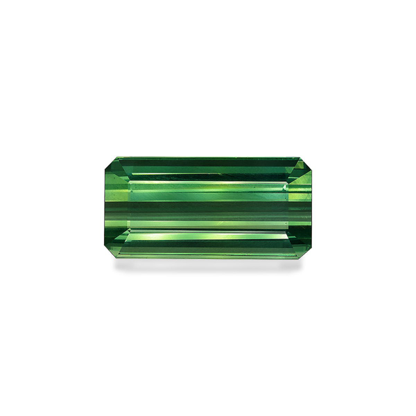 Cotton Green Tourmaline 42.08ct (TG0439)