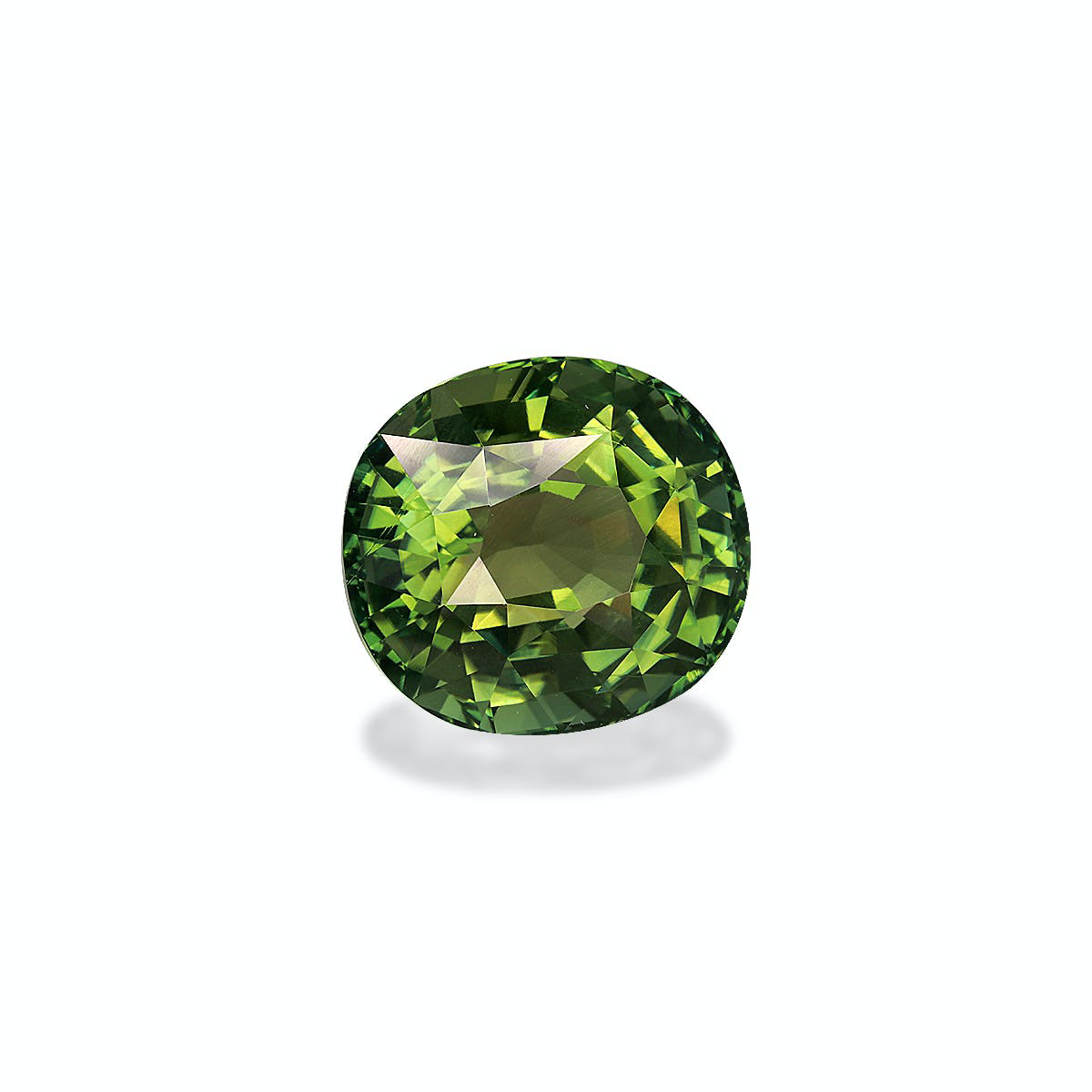 Picture of Green Tourmaline 25.28ct (TG0447)