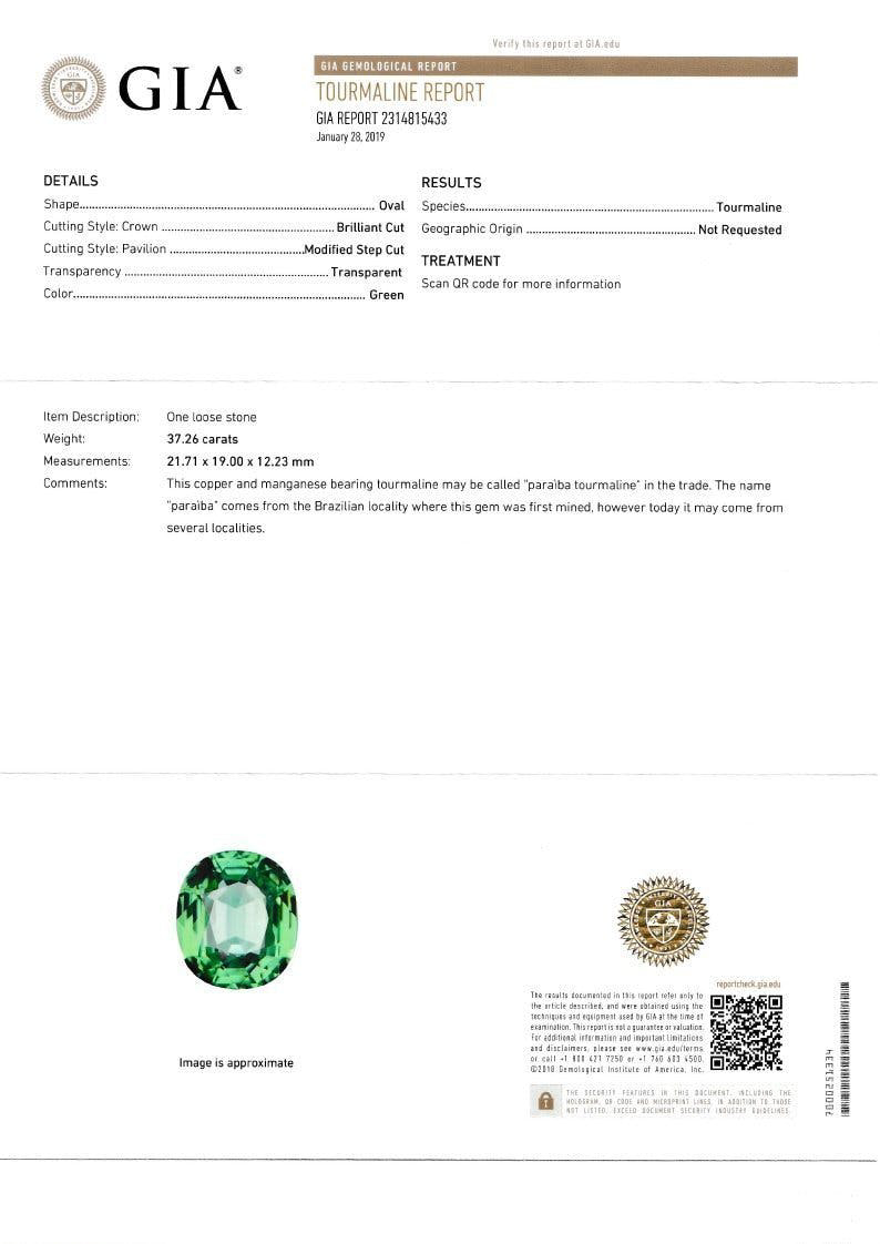 Picture of Green Paraiba Tourmaline 37.26ct - 21x19mm (PA0253)
