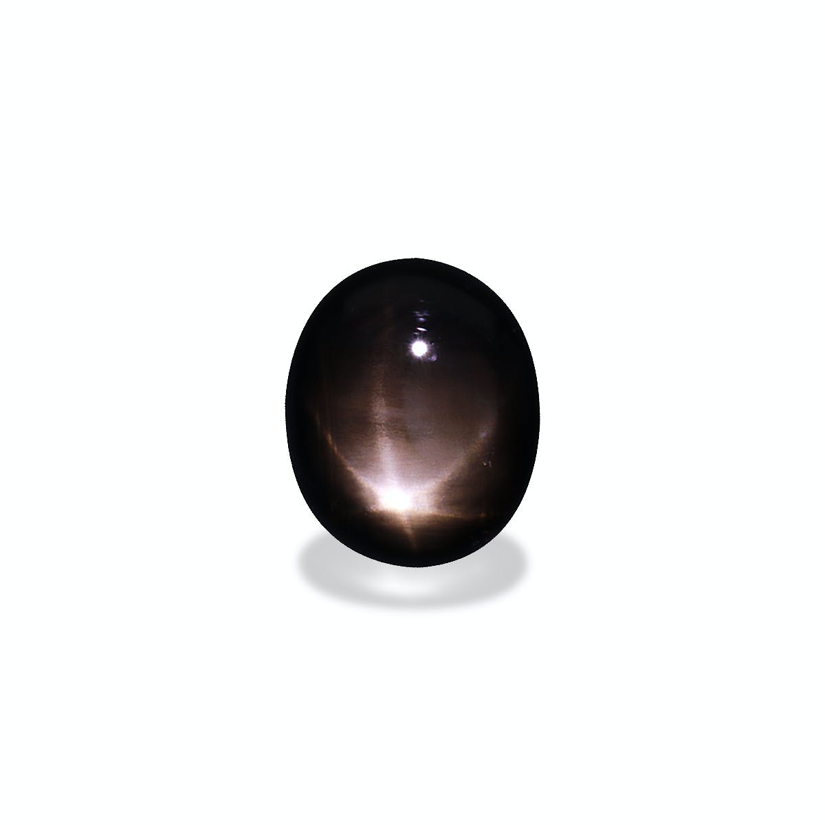 Picture of Black Star Sapphire 17.20ct (BL0037)