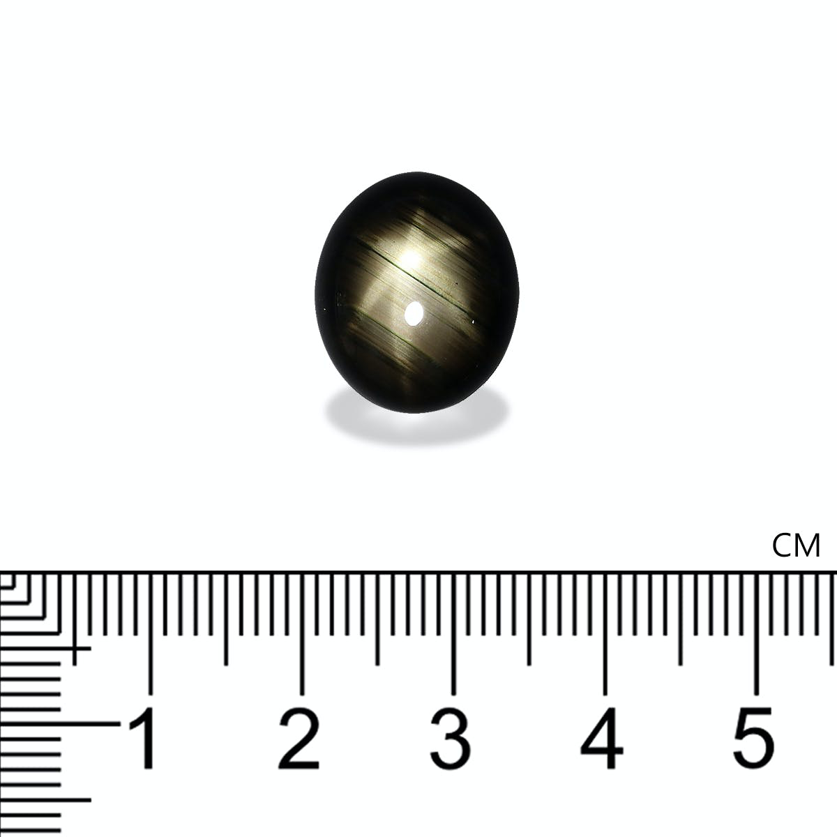 Picture of Black Star Sapphire 17.10ct (BL0041)