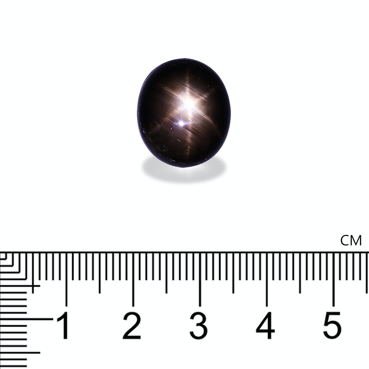 Picture of Black Star Sapphire 26.11ct - 16x14mm (BL0047)