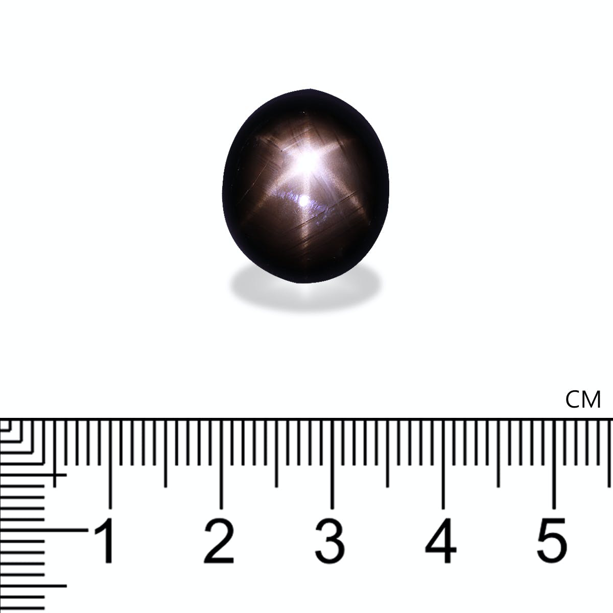 Picture of Black Star Sapphire 22.94ct - 17x15mm (BL0048)