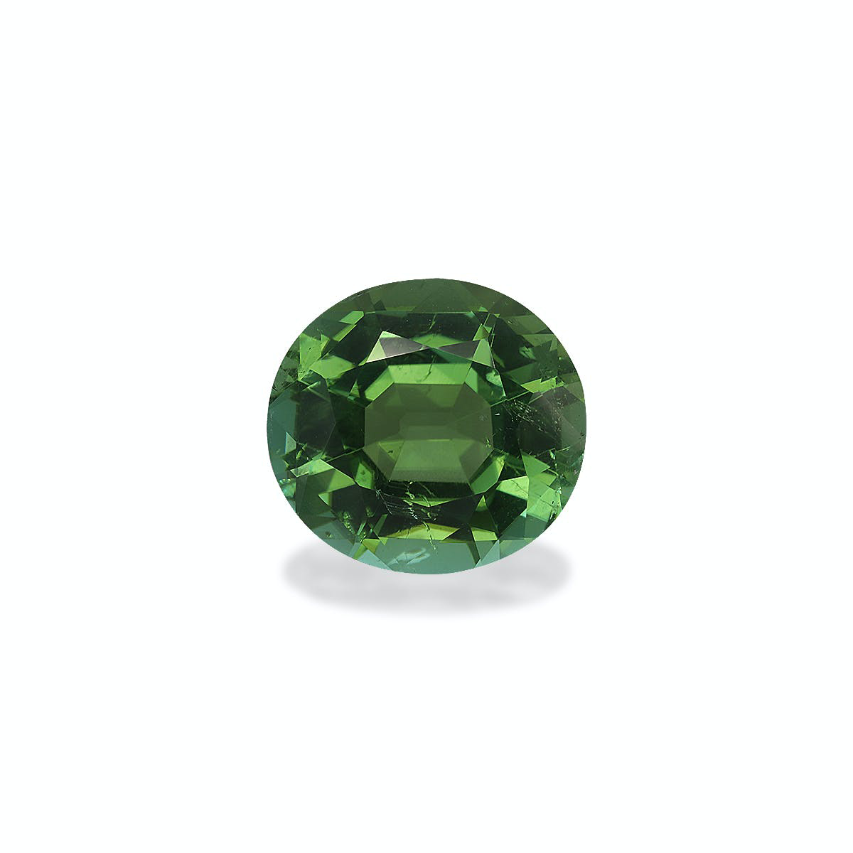 Picture of Green Tourmaline 6.67ct (TG0723)