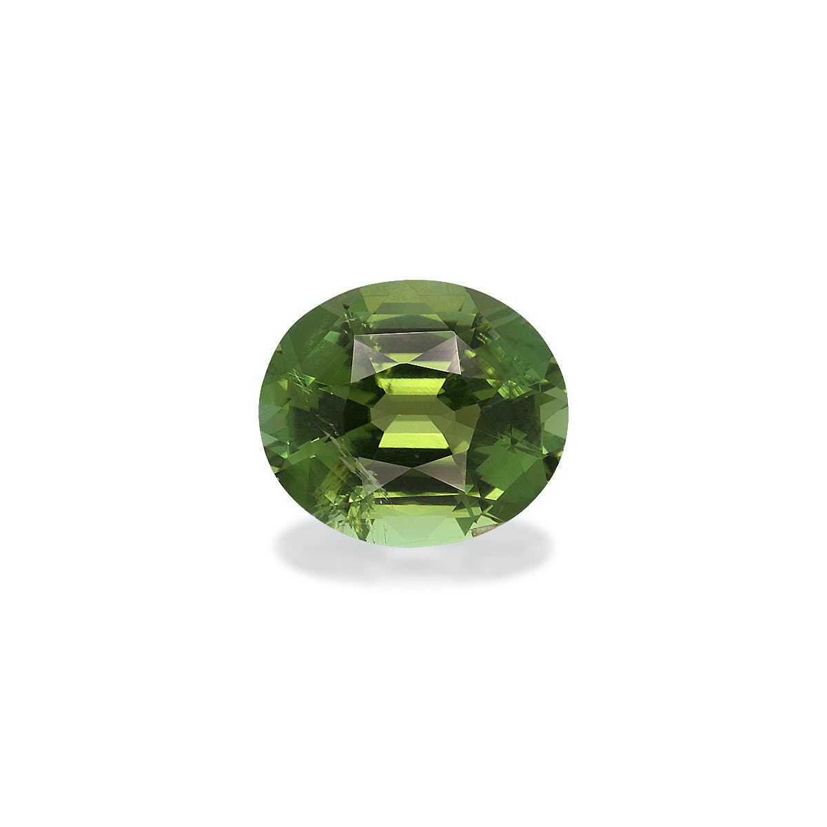 Picture of Olive Green Tourmaline 7.91ct - 14x12mm (TG0721)