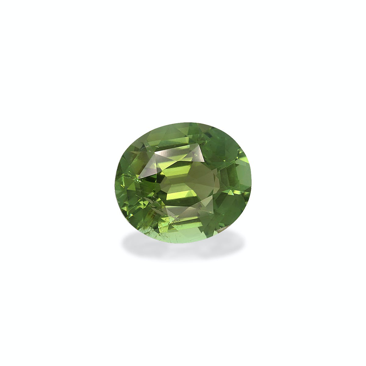 Picture of Olive Green Tourmaline 7.91ct - 14x12mm (TG0721)