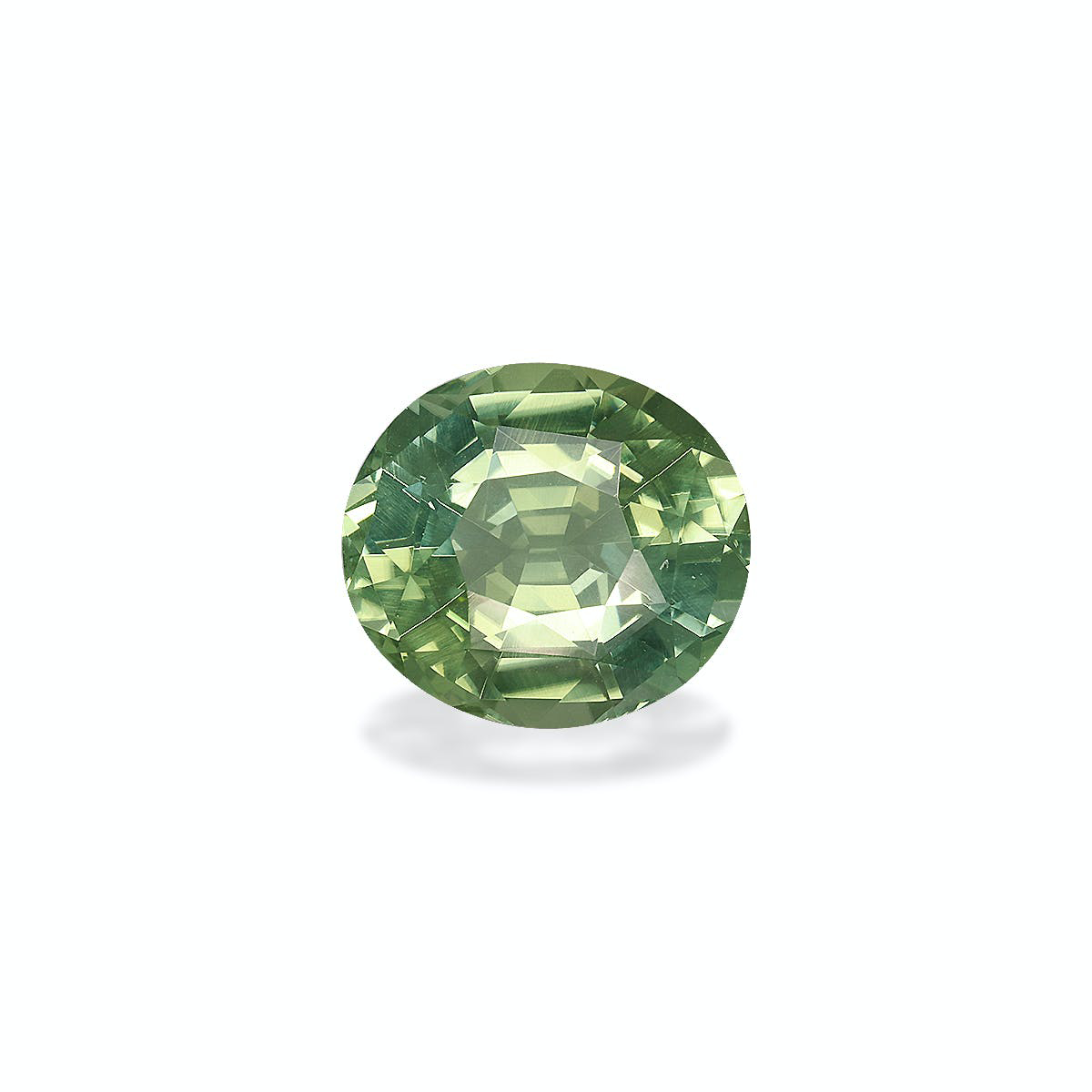 Picture of Cotton Green Tourmaline 9.69ct - 15x13mm (TG0707)