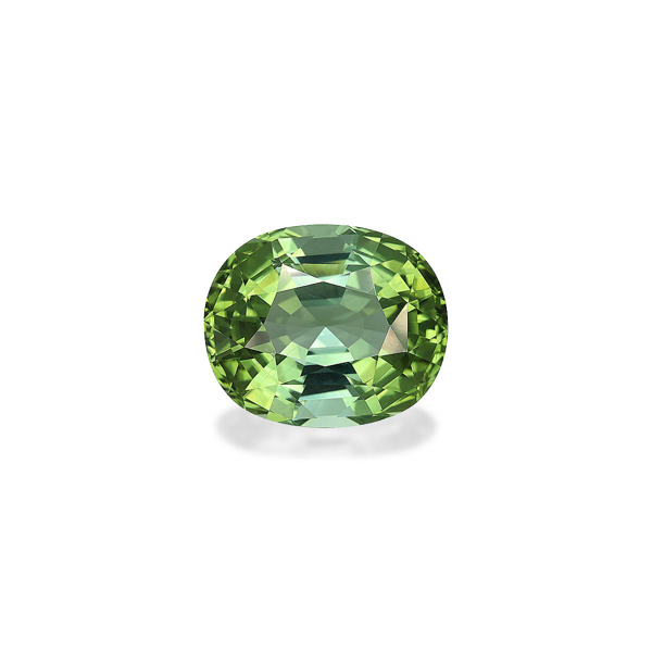 Pale Green Tourmaline 27.42ct (TG0665)
