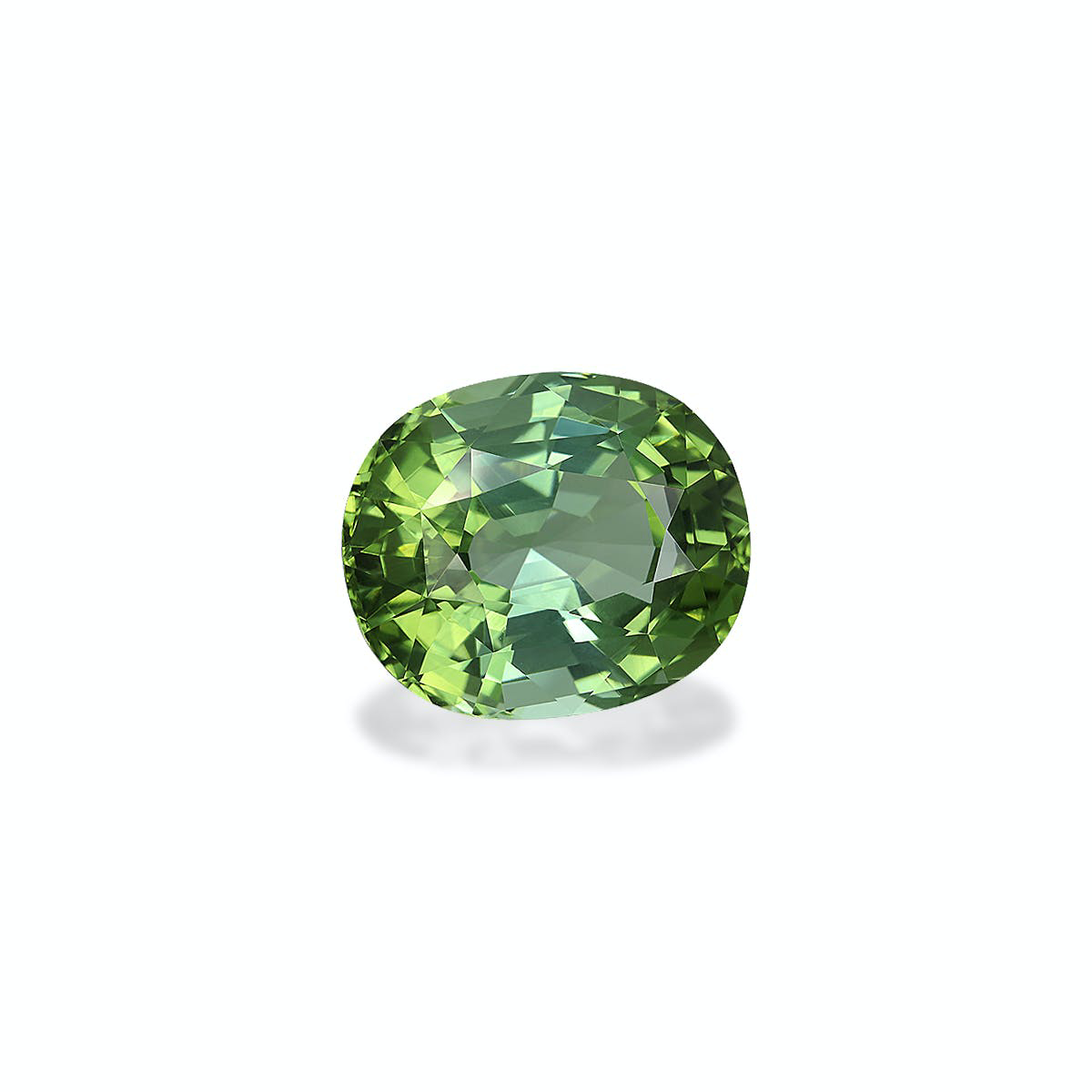Picture of Pale Green Tourmaline 27.42ct (TG0665)