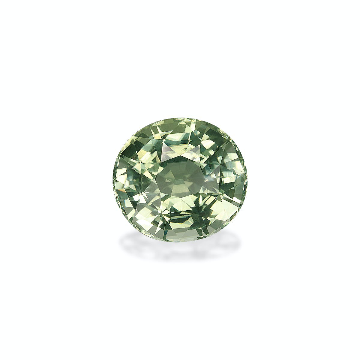 Picture of Pale Green Tourmaline 7.79ct (TG0704)
