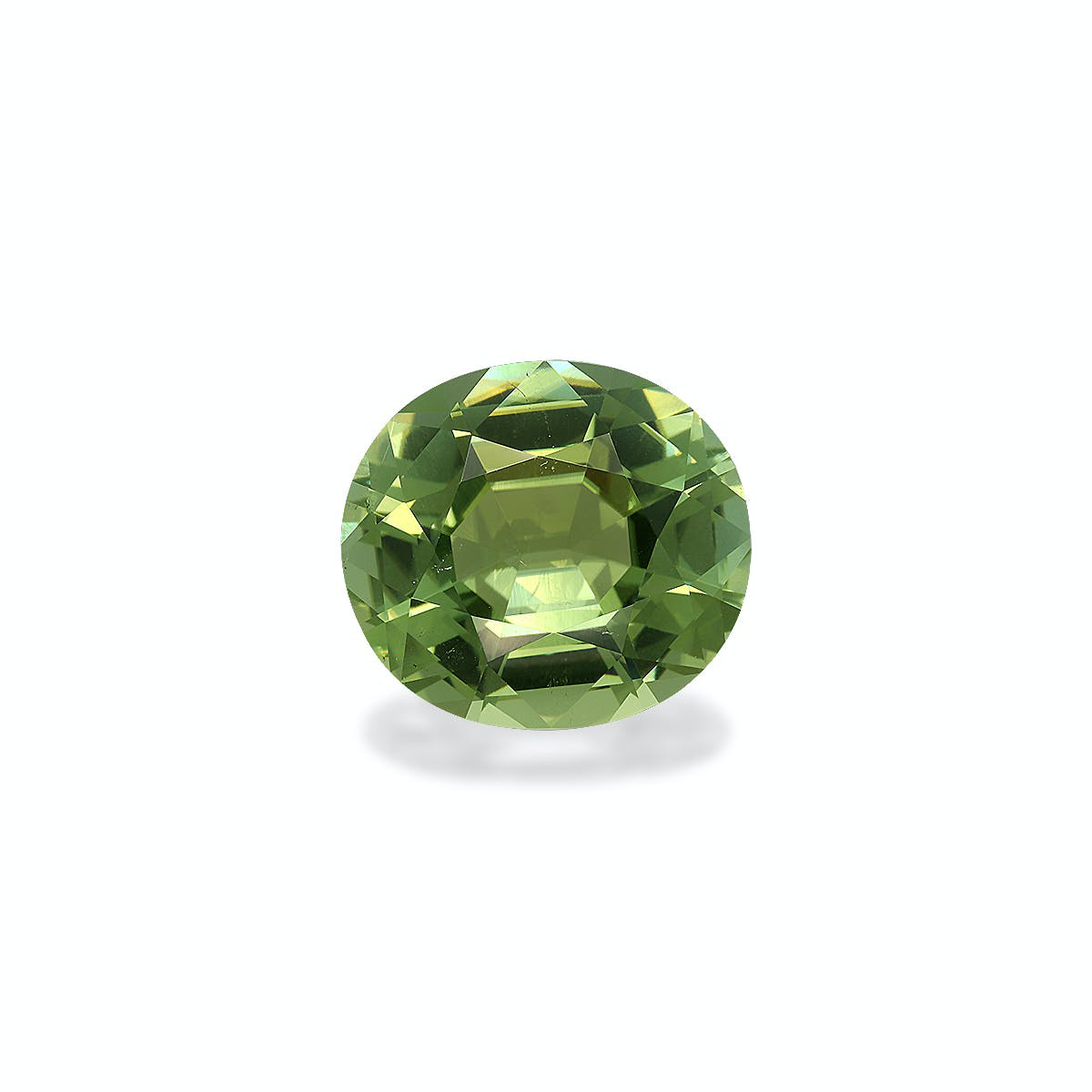 Pistachio Green Tourmaline 23.53ct - 20x18mm (TG0531)
