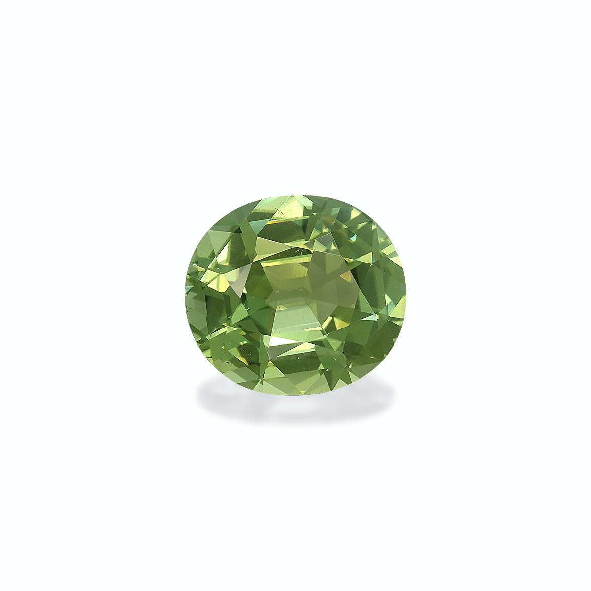 Picture of Pistachio Green Tourmaline 23.53ct - 20x18mm (TG0531)