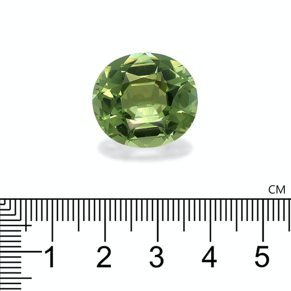 Picture of Pistachio Green Tourmaline 23.53ct - 20x18mm (TG0531)