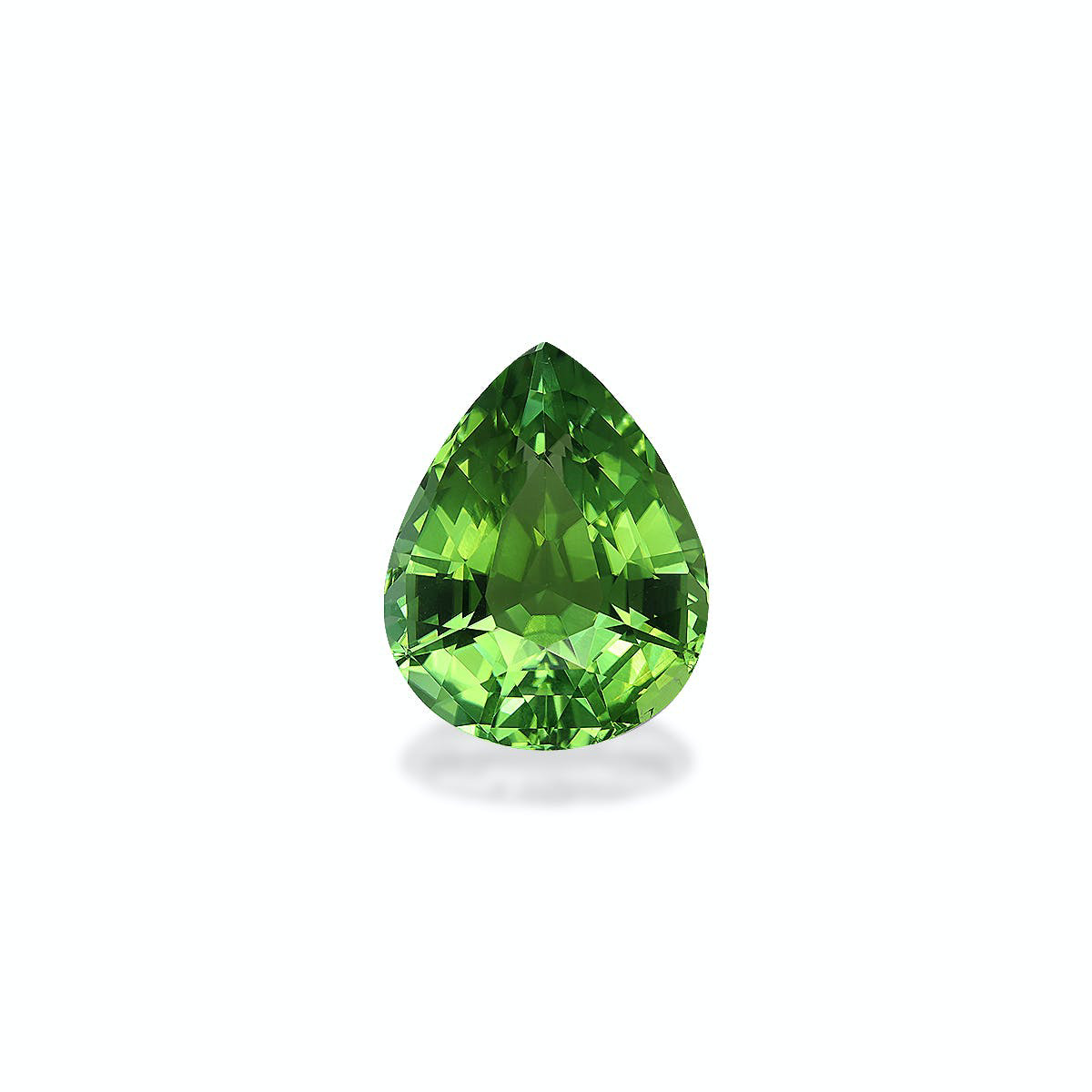 Picture of Pistachio Green Tourmaline 12.59ct (TG0632)