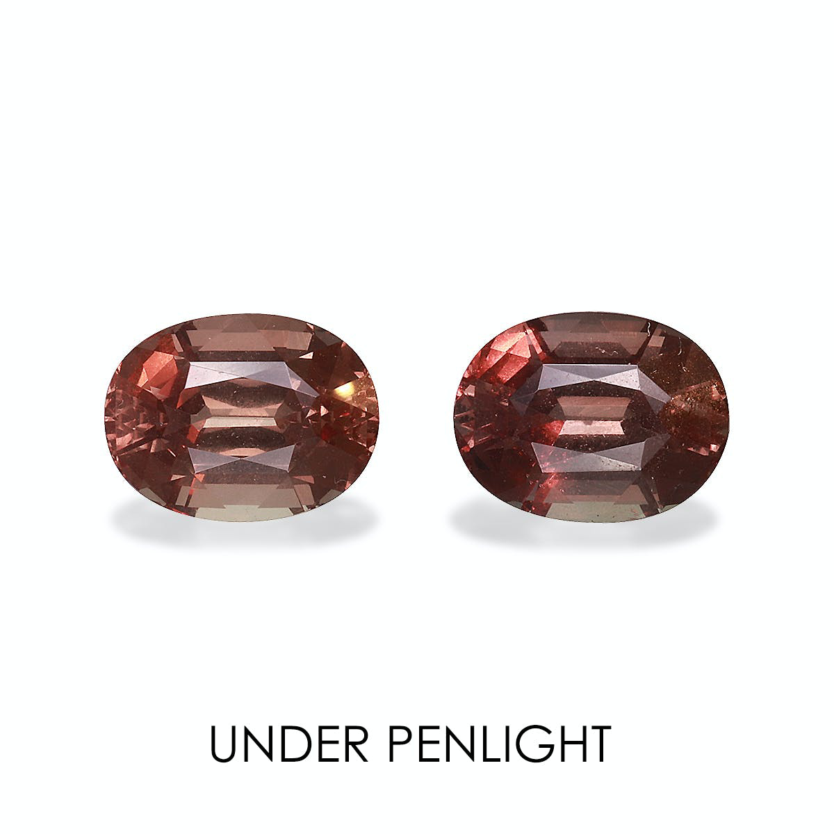 Picture of Brown Colour Change Garnet 3.89ct - 8x6mm Pair (CG0044)