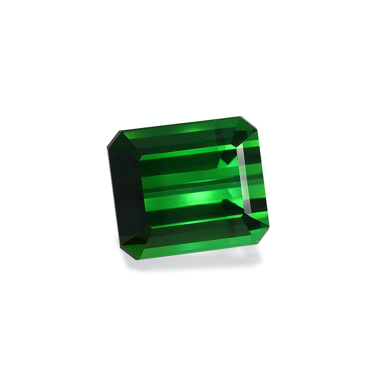Picture of Vivid Green Tourmaline 79.36ct (TG0843)