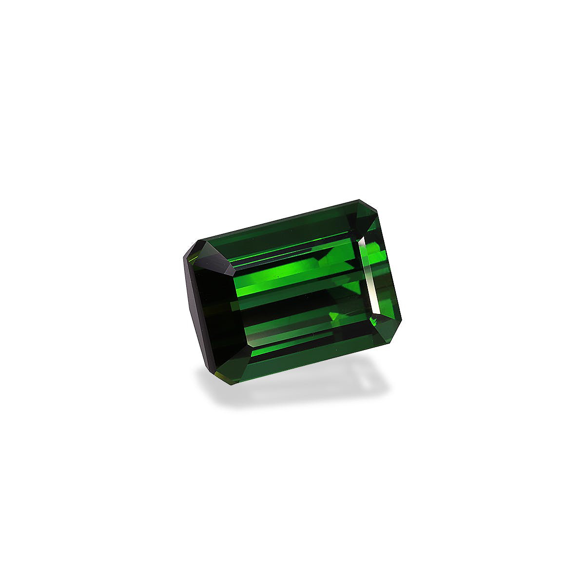 Picture of Vivid Green Tourmaline 24.81ct (TG0856)