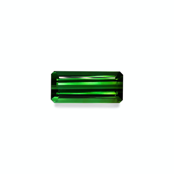 Picture of Vivid Green Tourmaline 25.60ct (TG0862)