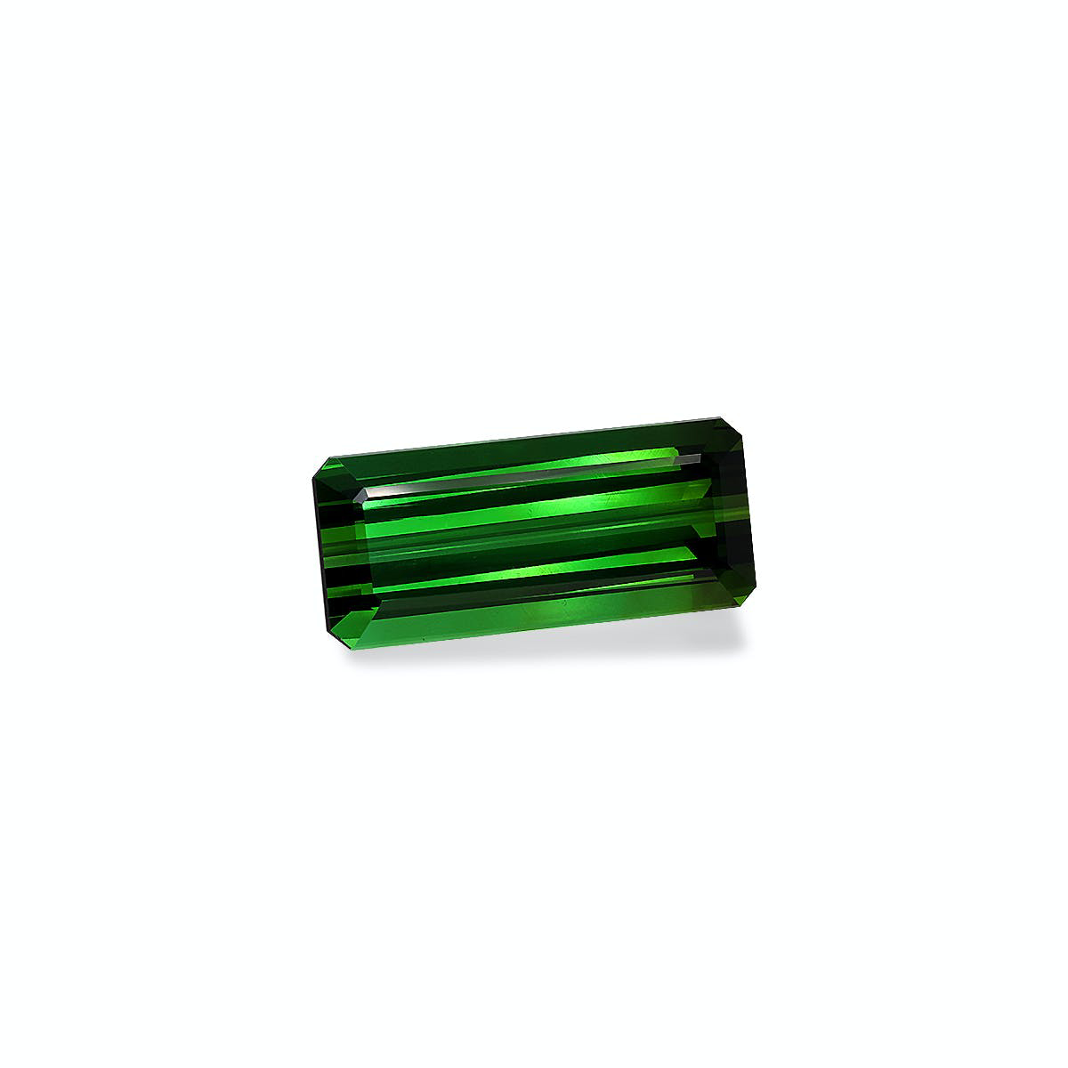 Picture of Vivid Green Tourmaline 25.60ct (TG0862)
