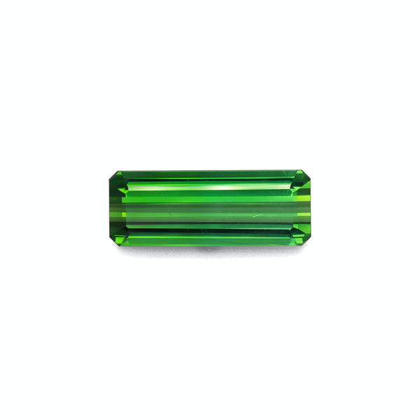 Vivid Green Tourmaline 15.90ct (TG0871)