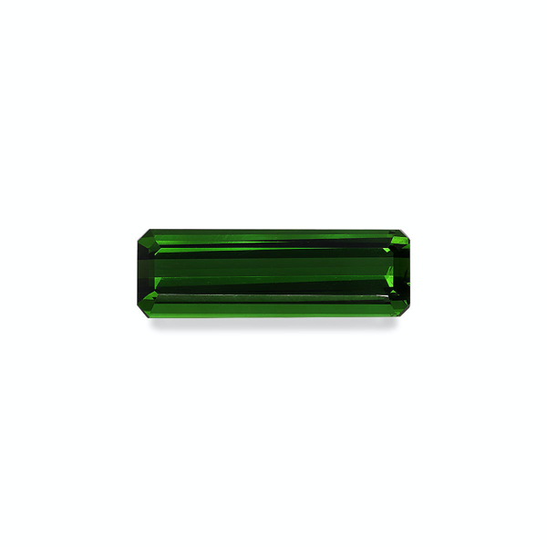 Moss Green Tourmaline 24.30ct (TG0882)