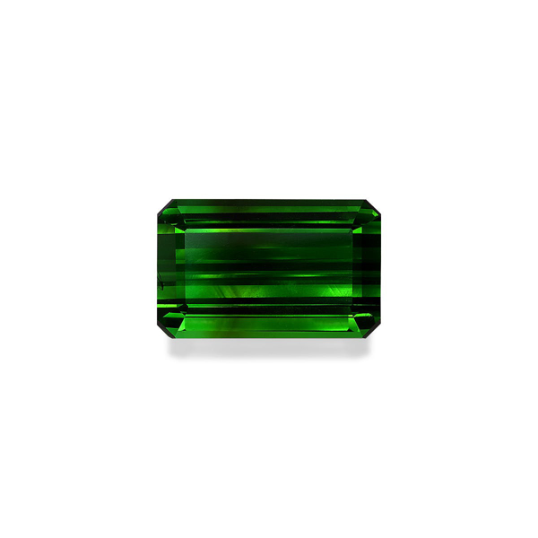 Moss Green Tourmaline 42.61ct (TG0886)