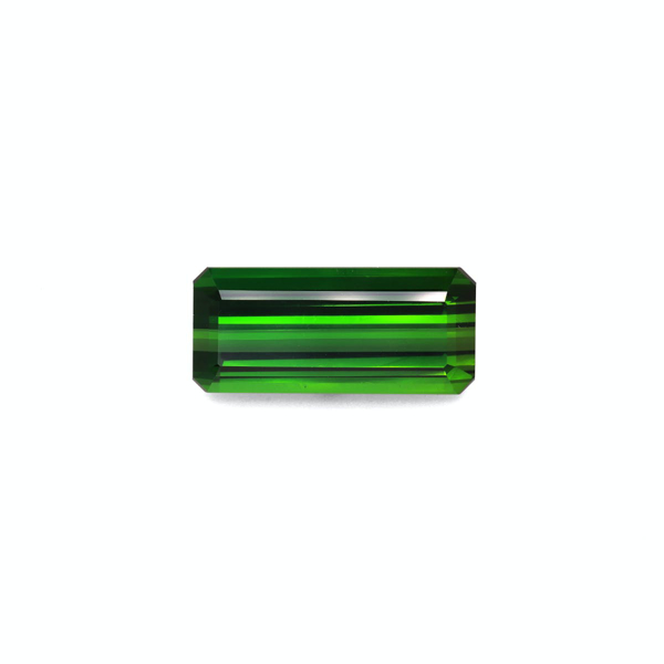 Moss Green Tourmaline 23.13ct (TG0890)