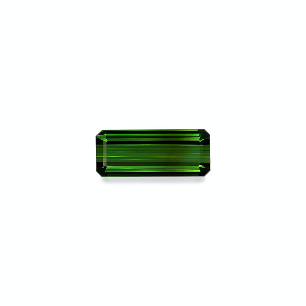 Moss Green Tourmaline 10.91ct (TG0899)