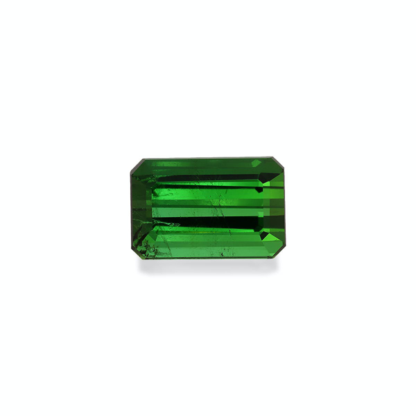Vivid Green Tourmaline 9.49ct (TG0904)