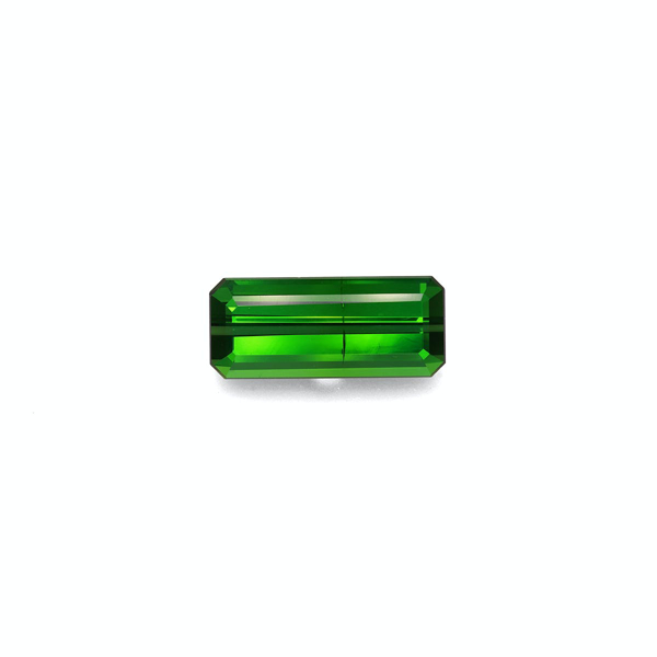 Vivid Green Tourmaline 9.85ct (TG0908)